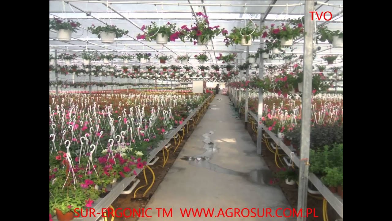 Stoły Ogrodnicze Sur Ergonic TM firmy Agro Sur