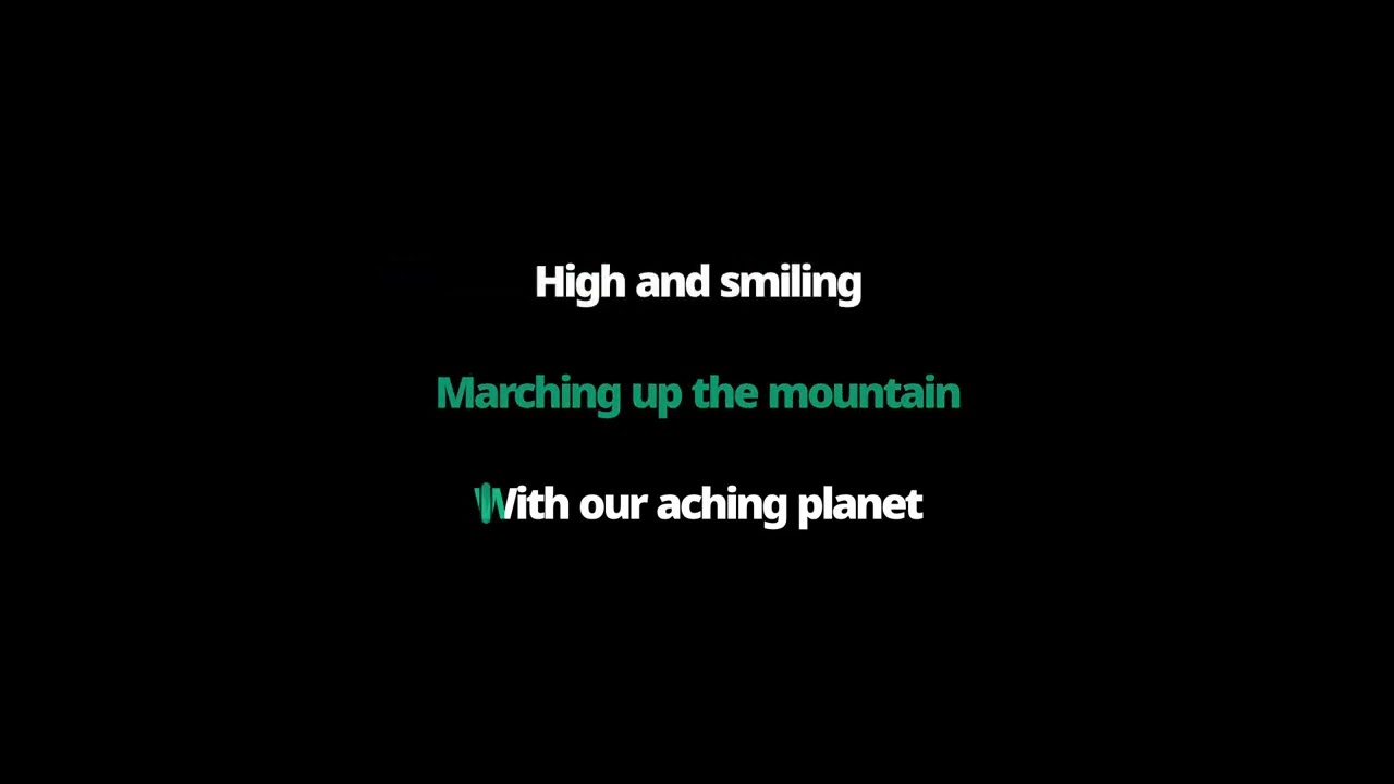 Big Thief - Mary (karaoke)