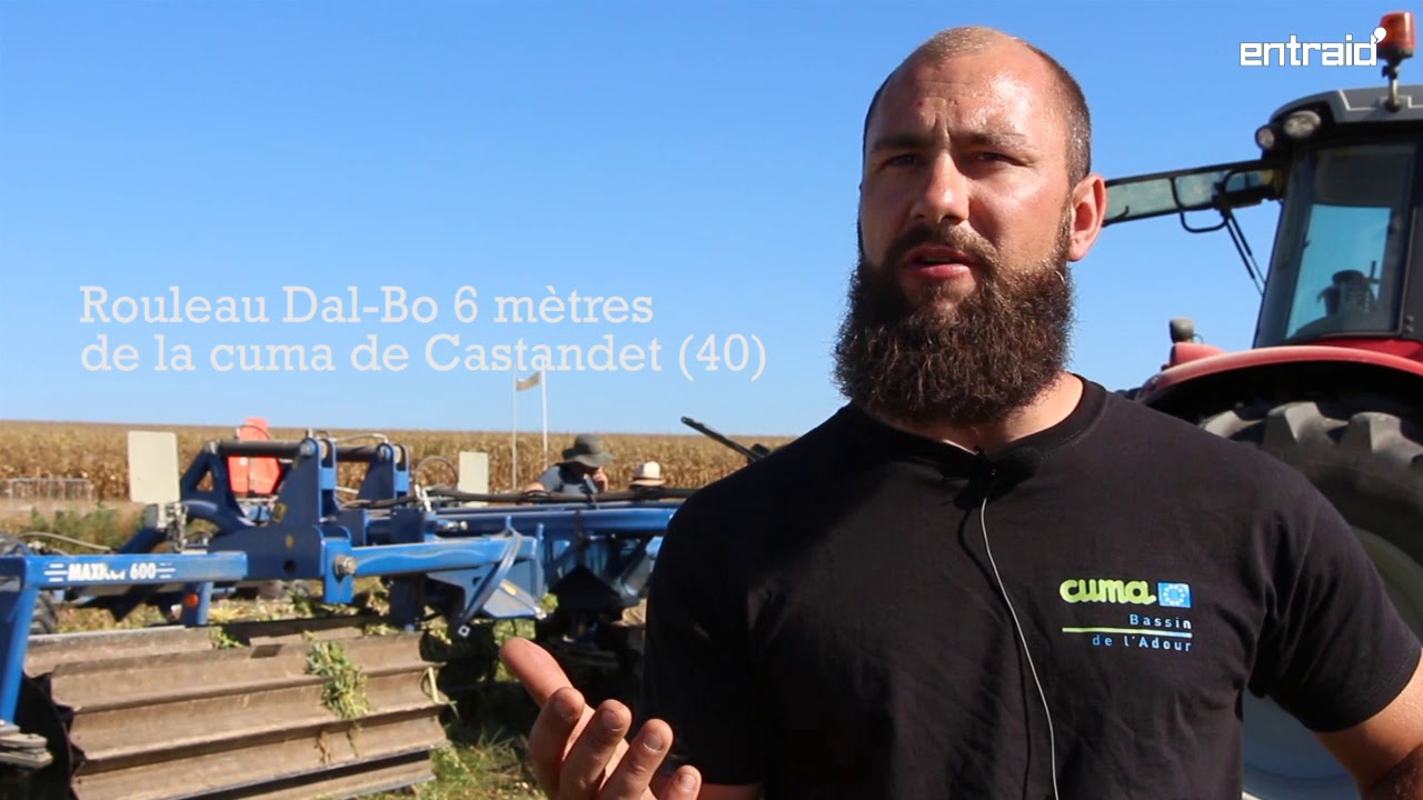 7 rouleaux destructeurs de couverts végétaux à MécaMaïs