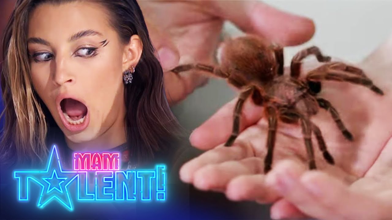 Wieniawa przełamała swój strach przed pająkami! 🕷️ | Mam Talent!