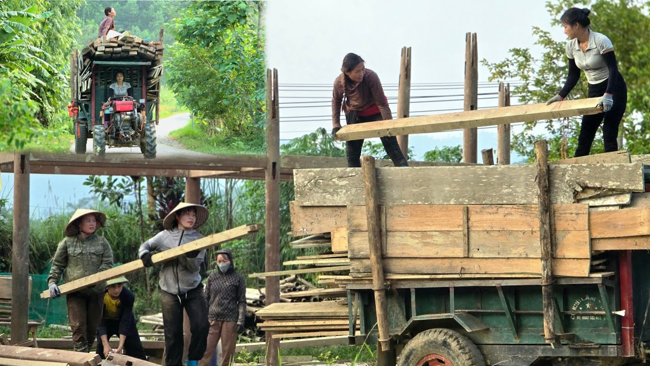 Using agricultural vehicles to help villagers transport wooden houses&part 2 #agricultural#woodtruck