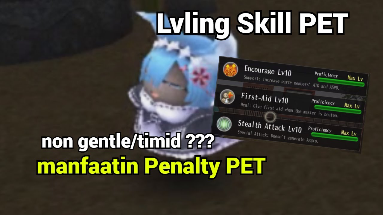LEVELING SKILL PET UNTUK SEMUA JENIS PET | Toram Online