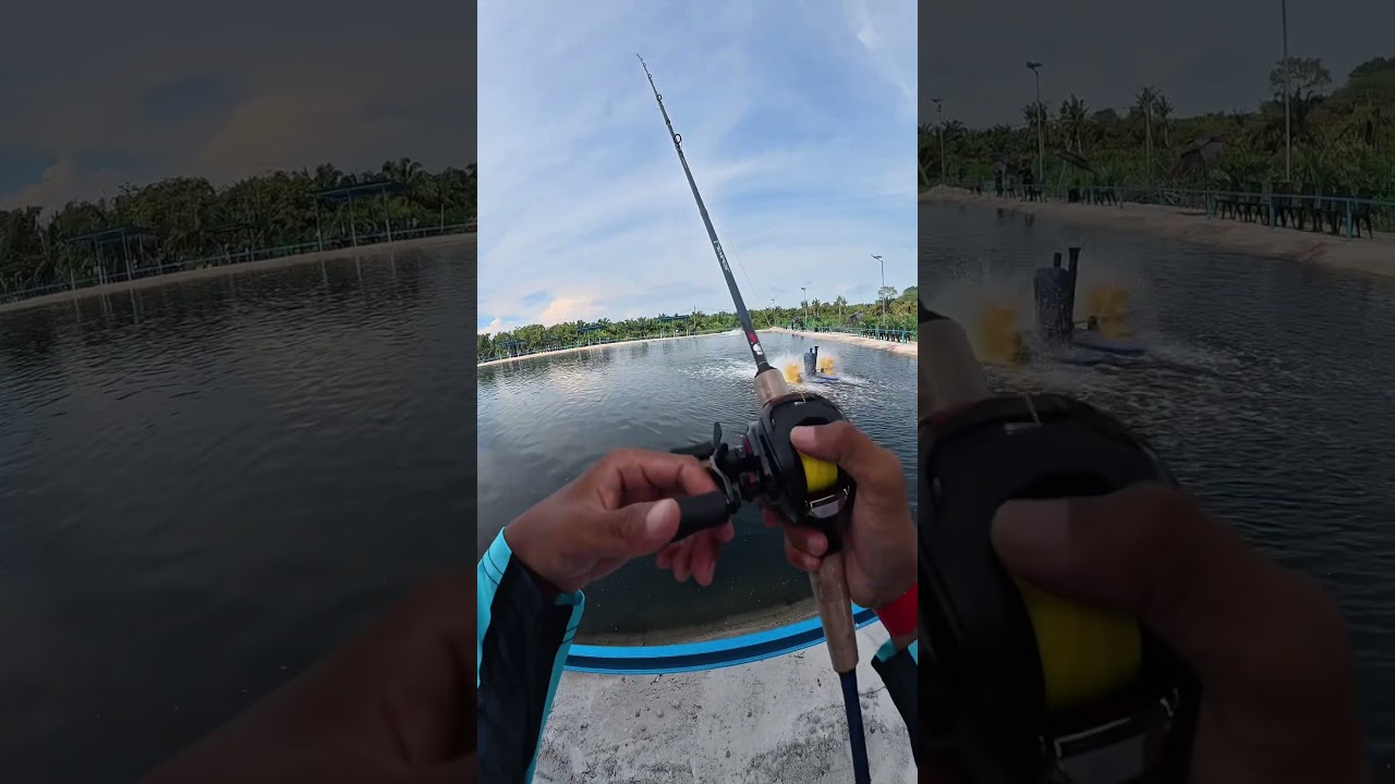 kolam d bakau sepetang .  #expfishing #sonix #tempest #fishingrod #fishingreel #mancing #casting