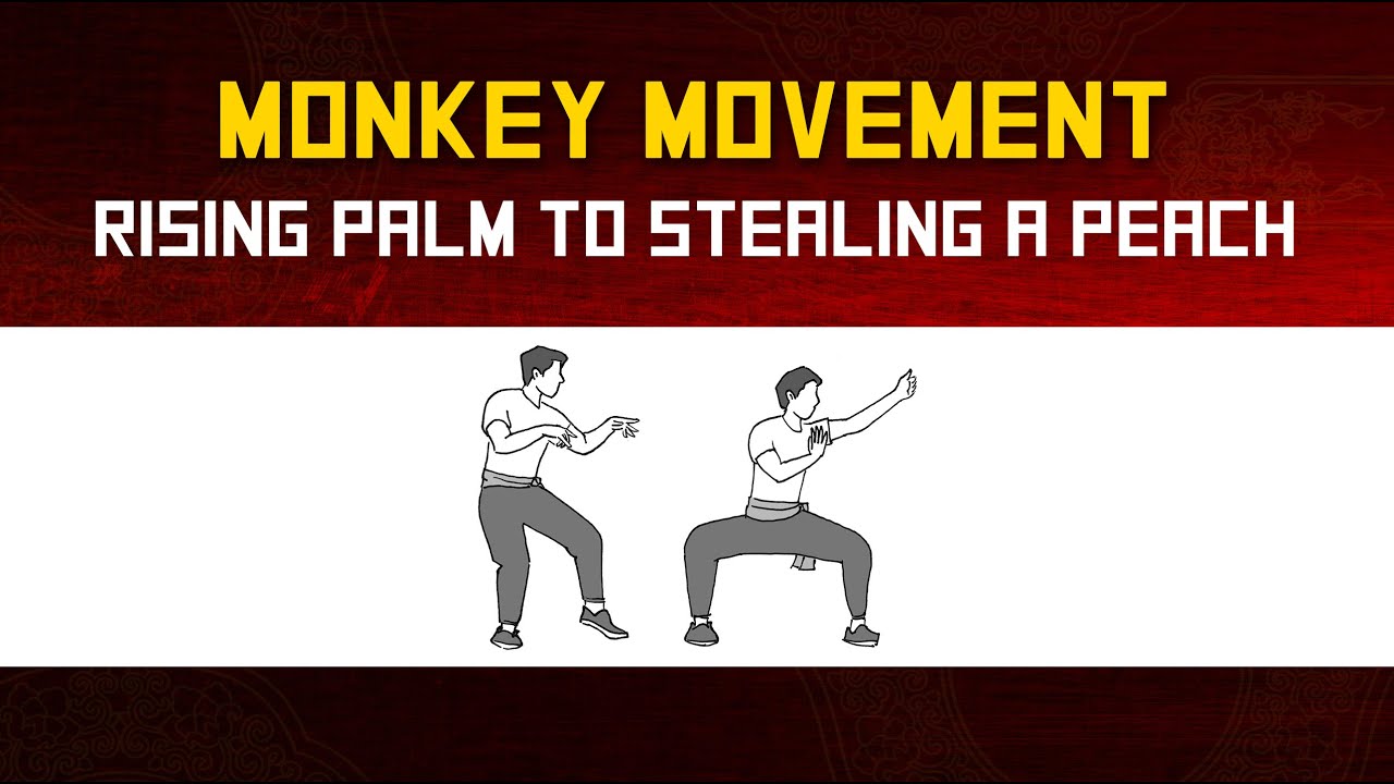 🐒 Kung Fu Monkey Movement - Rising Palm to Stealing a Peach