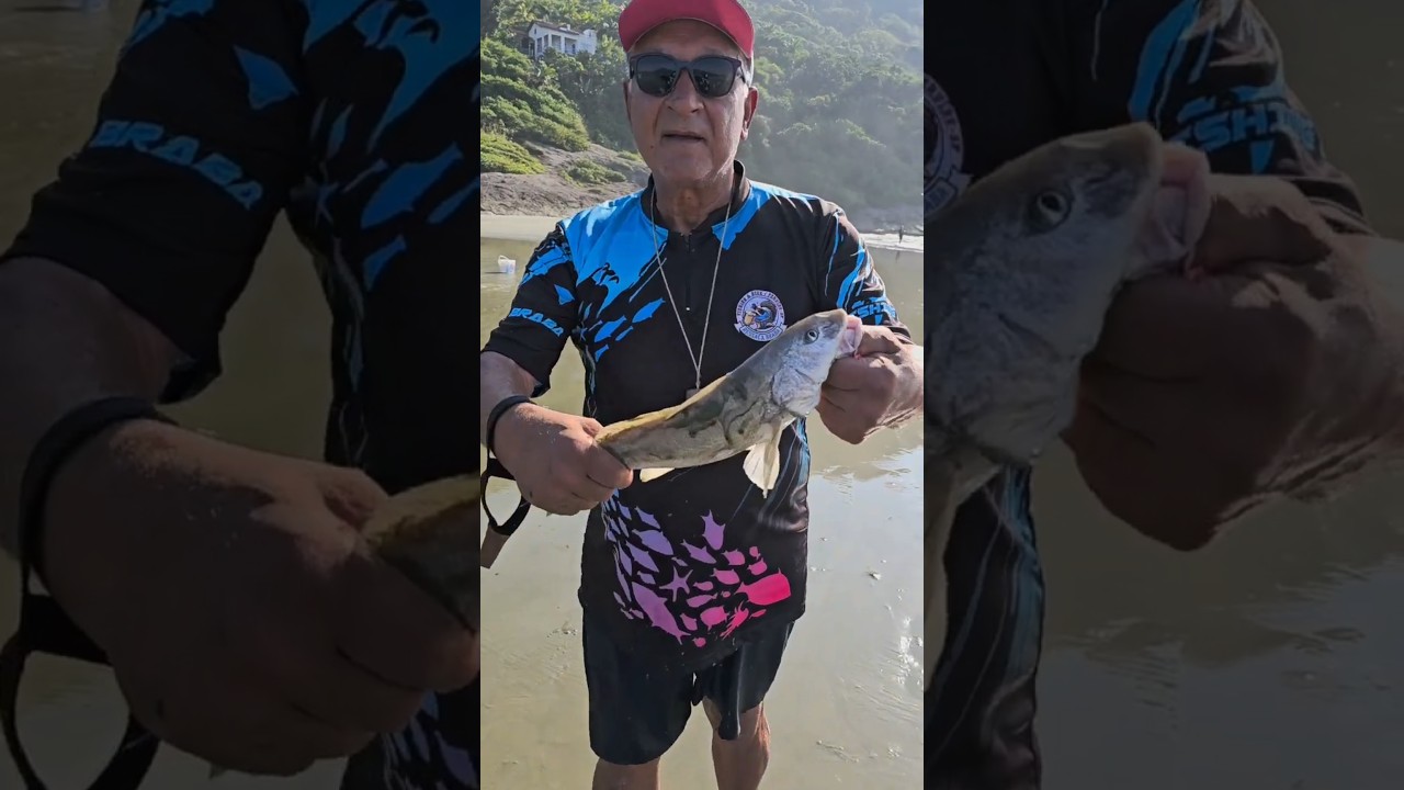 Como amarrar o corrupto 🎣