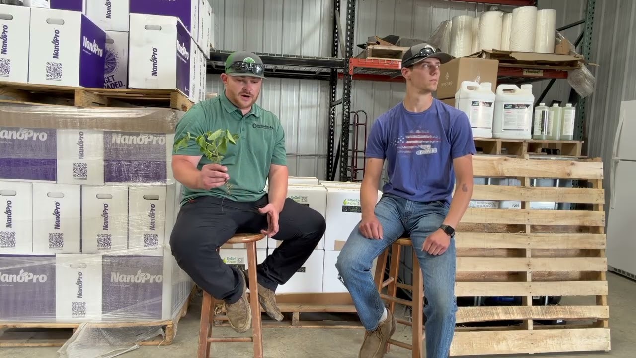 In-season Soybean Management