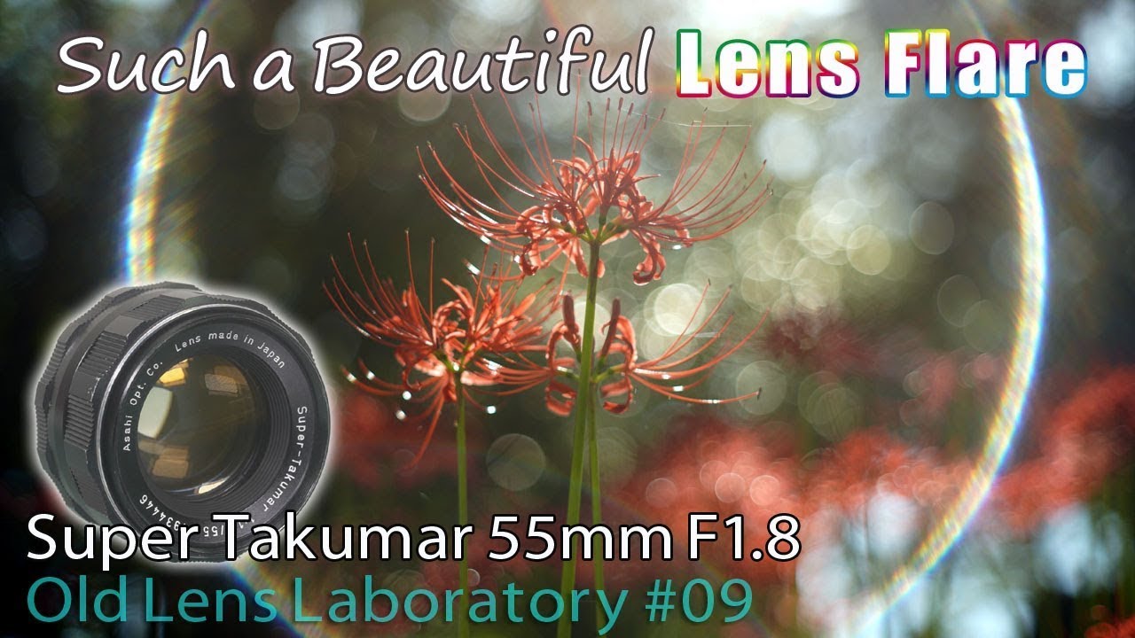 Super Takumar 55mm F1.8　作例で描写性能解説　※2020年9月制作