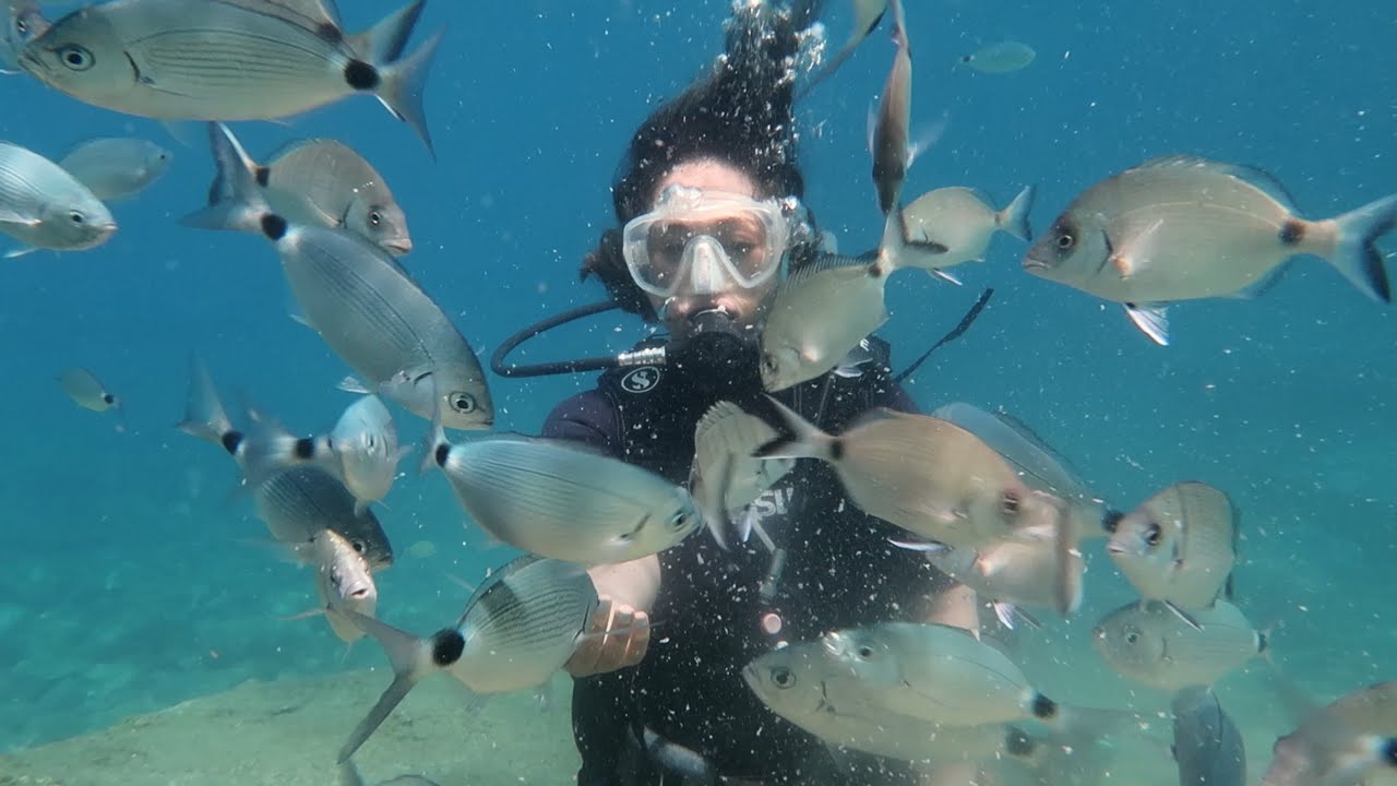 Türkiye Roadtrip from Istanbul to the South and First Time Scuba Diving