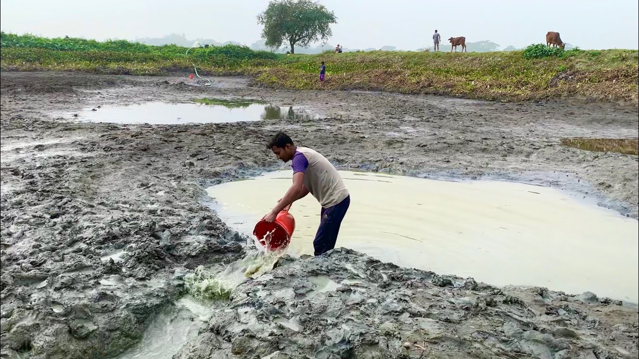 বিলে ঢোবা সেচে মাছ ধরলাম। simple village fishing videos (Desi fishing video) amazing fishing bd.