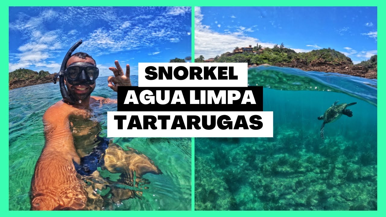 Mergulho com snorkel em Búzios: quais são as melhores praias