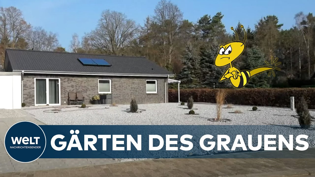 INSEKTEN statt SCHOTTER: Baden-W&uuml;rttemberg will STEING&Auml;RTEN verbieten