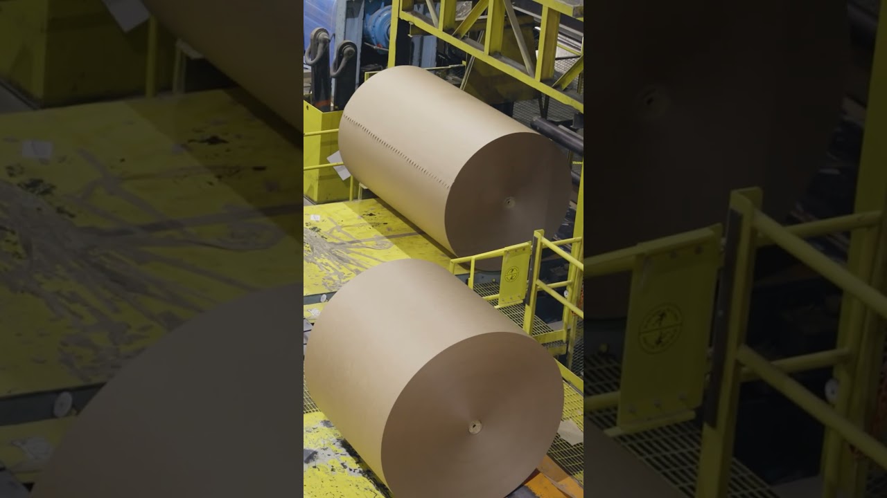Ever wondered where your cardboard boxes come from? #Cardboard #Production #Paper
