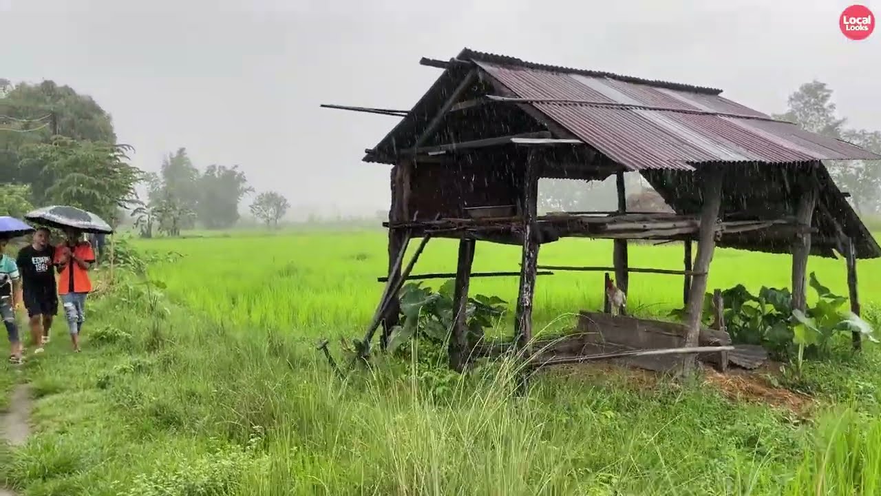 Heavy Rain Showers this Village in August in Nepal | Very Refreshing and Pleasing Rain Walk