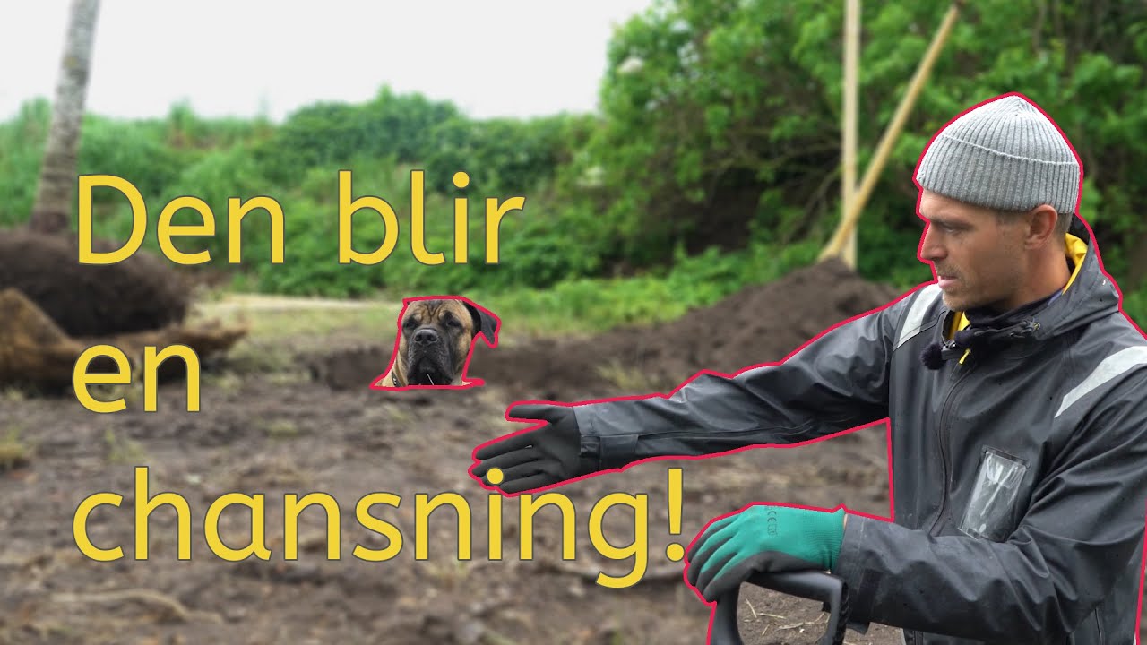#6 Det planteras en lummig dunge!