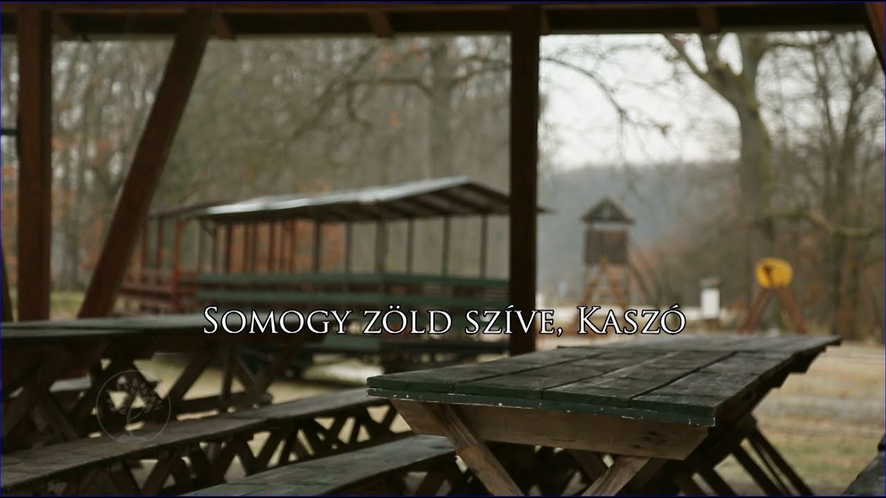 Reviczkyvel az Erdőben - Somogy zöld szíve, Kaszó - 2017 - 2/12