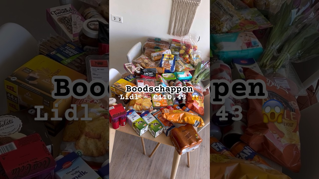 Mega grocery shopping log🤑That's crazy, right? #groceryhaul #dutch #lidl #minivlog