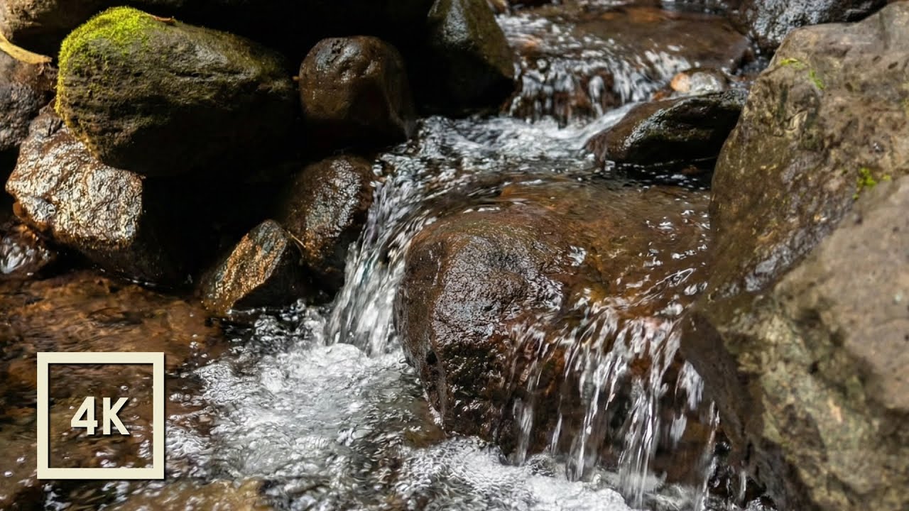 Relaxing Forest River Sounds ASMR – Gentle Water Flow for Deep Sleep, Stress Relief & Relaxation
