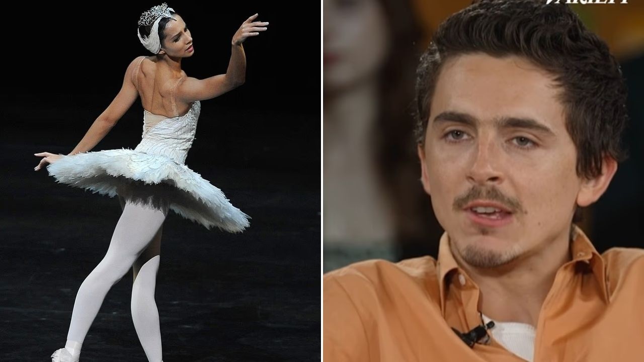 Timothée Chalamet Sparks Backlash After Opera Comment 🎭🔥