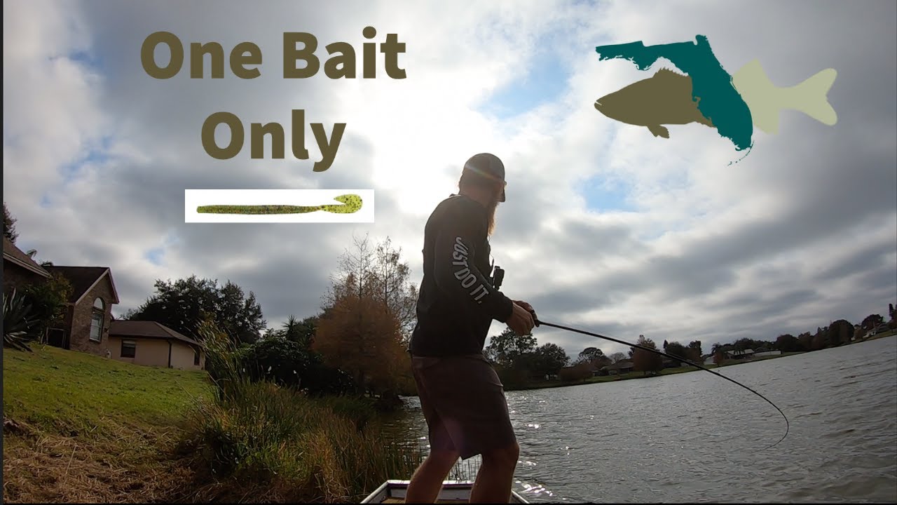 One Bait Only: Zoom Speed Worm