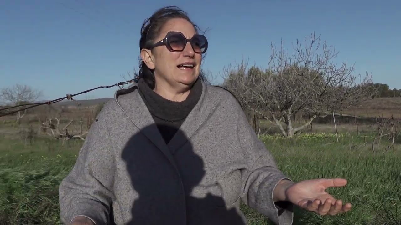 mobilitazione contro il tyrrhenian link a Selargius in Sardegna