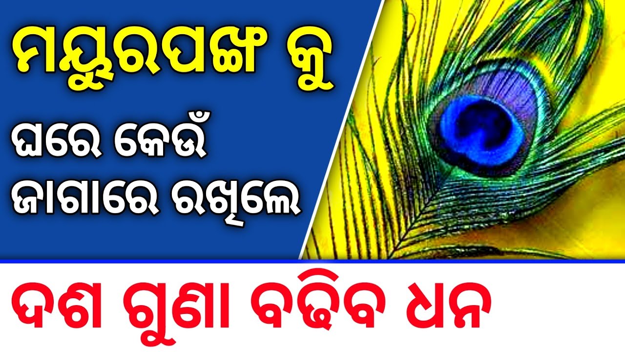 Mayura Pankha ghare kunthi rakhile 10 guna badhiba dhana,  Morpankh Totke | Odia Bayagita Bastu Tips