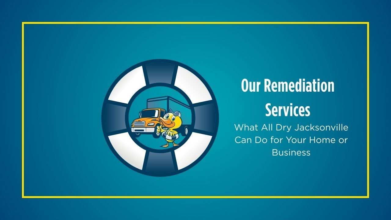 Our Remediation Services | What All Dry Jacksonville Can Do for Your Home or Business