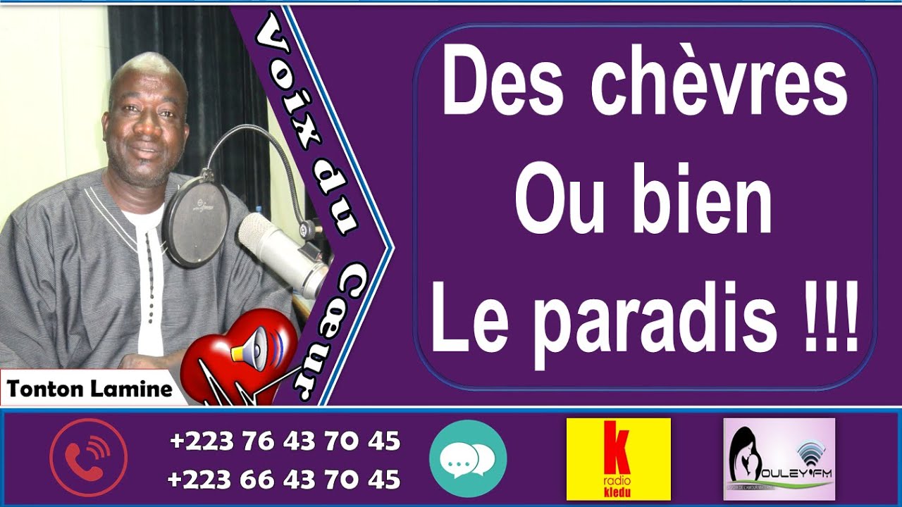 Tonton Lamine - VDC : Kabako│Un choix très insolite