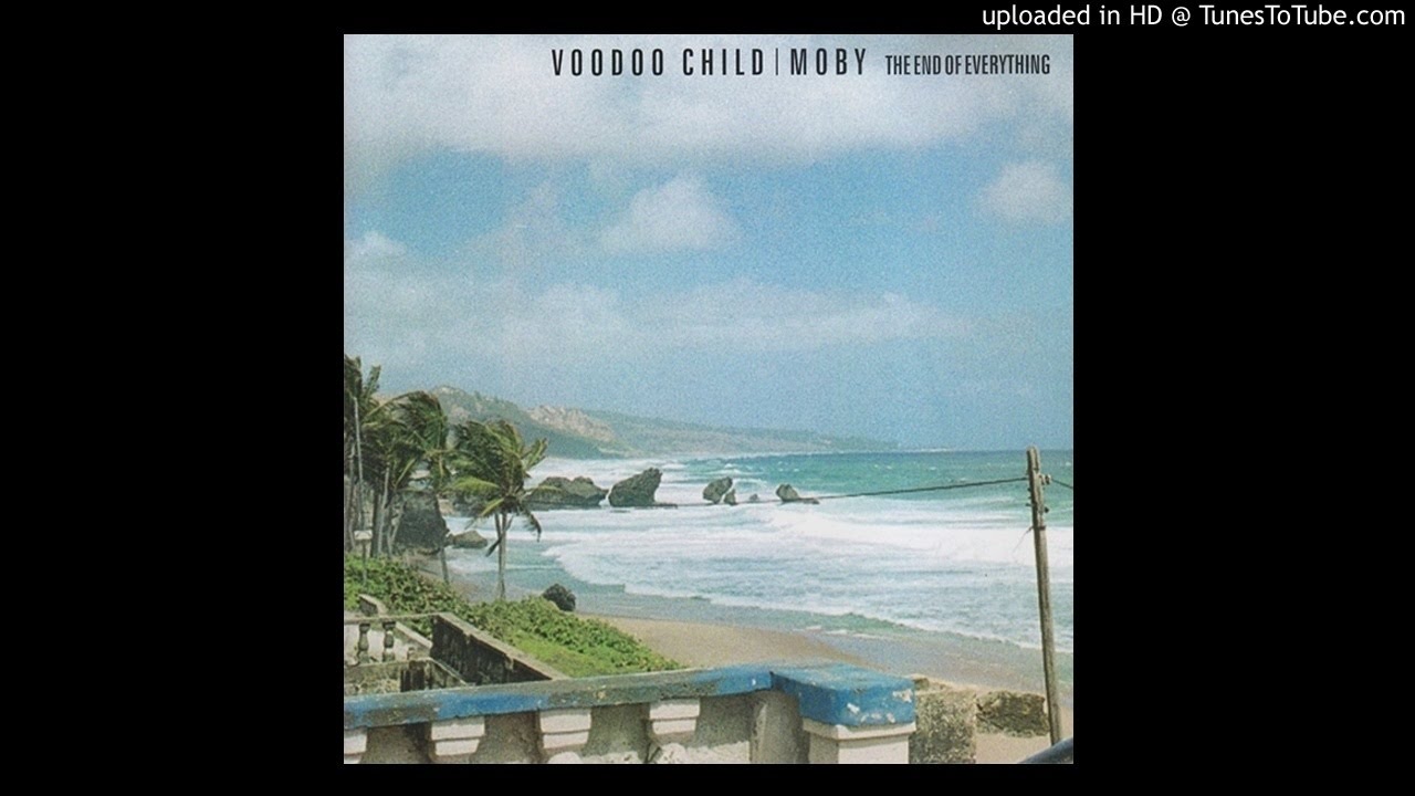 Voodoo Child (Moby) - Reject