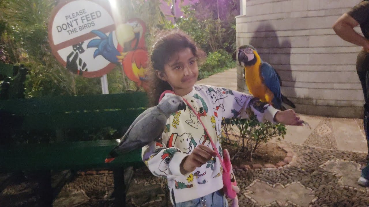 Chirpy Park | Birds Sanctuary| Bahria Town Karachi 