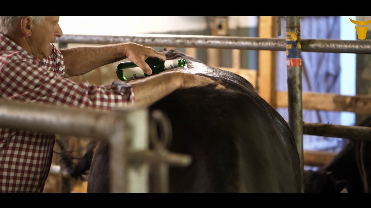 Wagyu.Tirol | Rindfleisch von höchster Qualität aus Österreich