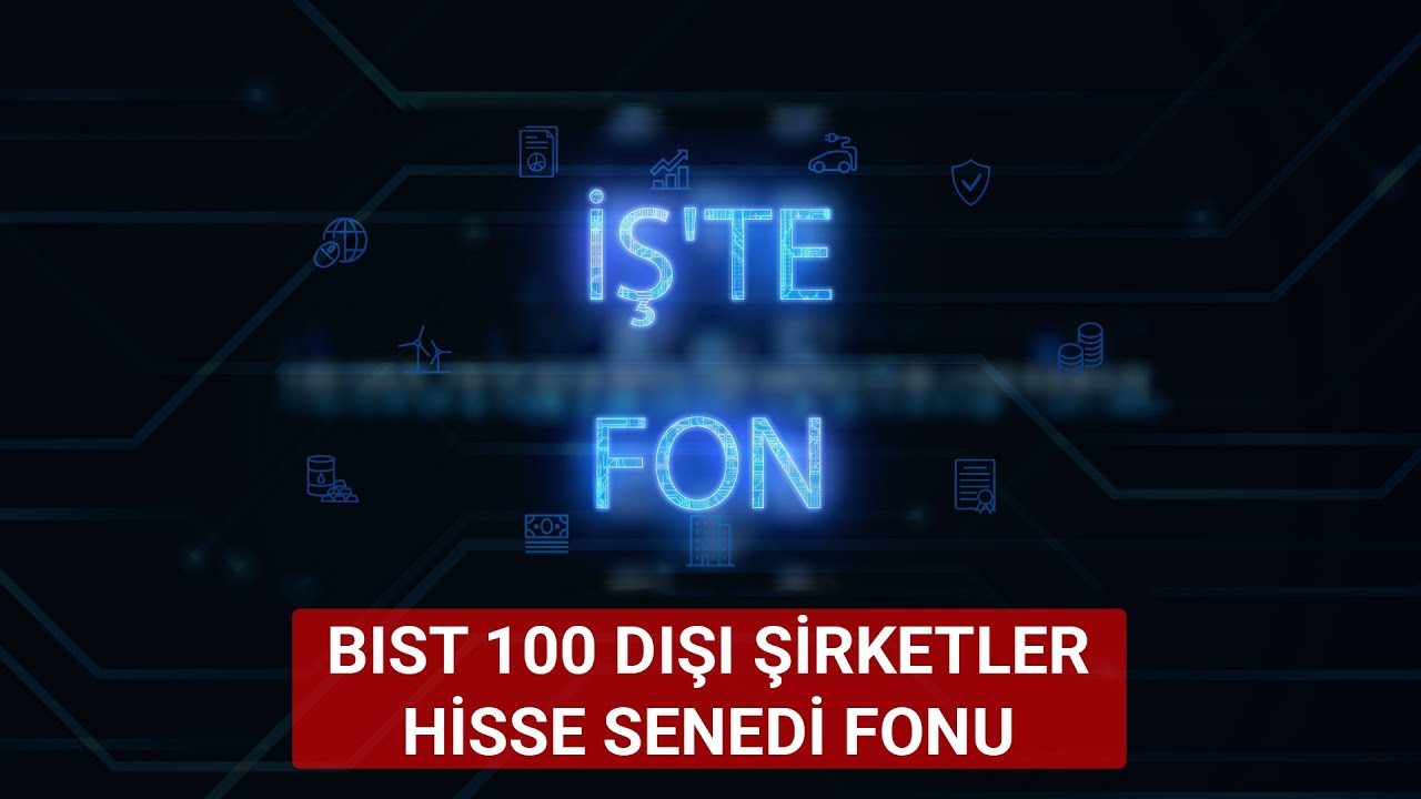 BIST 100 Dışı Şirketler Hisse Senedi Fonu