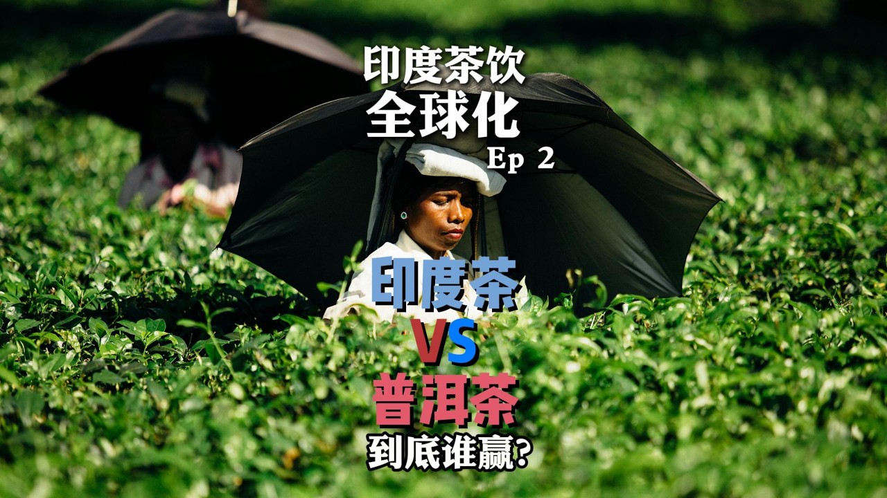 印度茶比中国更早实现全球化。Indian tea achieved globalization earlier than Chinese tea.