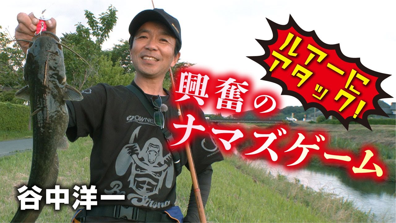 ルアーにアタック！興奮のナマズゲーム