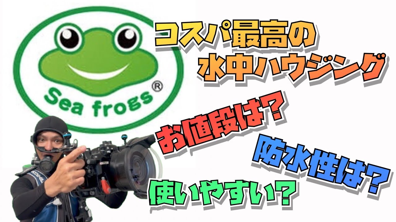📸コスパ最高の水中ハウジング🐸SeaFrogs🤿nauticamのハウジングと比較しました📸