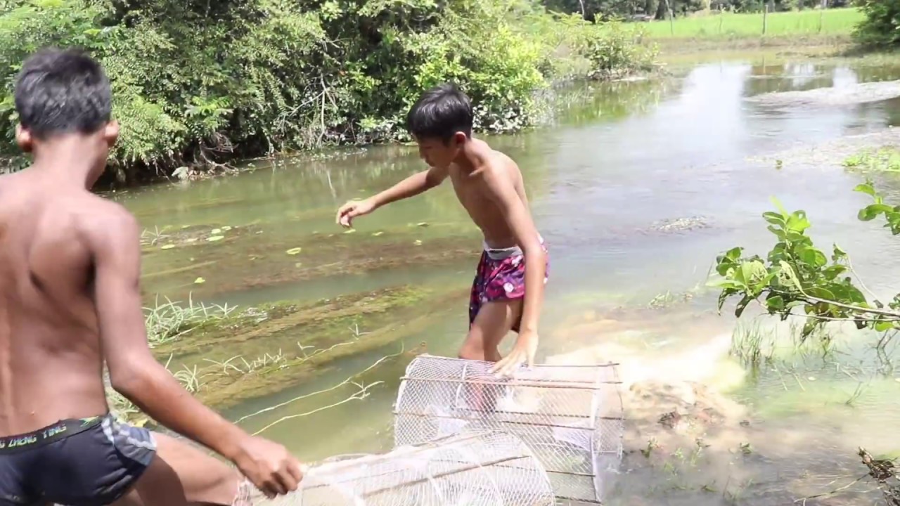 AMAZING!!! Khmer Children Make Net Lure Trap Fish and Crocodile - Cambo Trap Lure Fishing