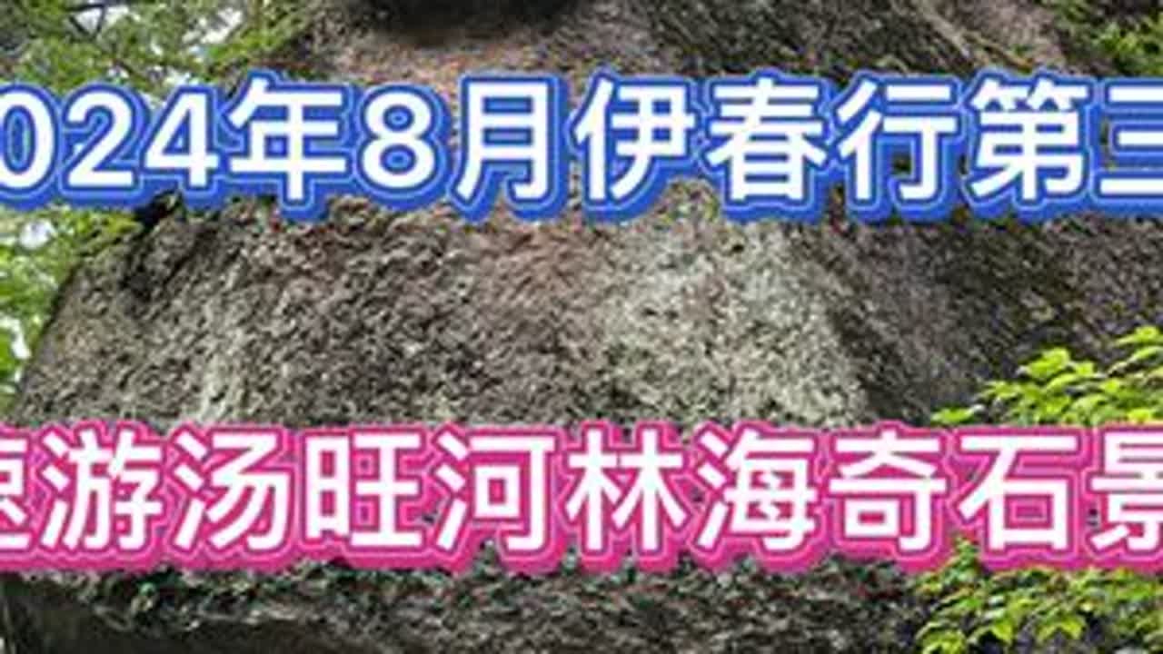 速游汤旺河林海奇石景区，天然氧吧游林海看奇石，悟能望月最好看 #天然氧吧 #汤旺河林海奇石风景区 #原始森林 #vlog旅游 #爬山 #徒步