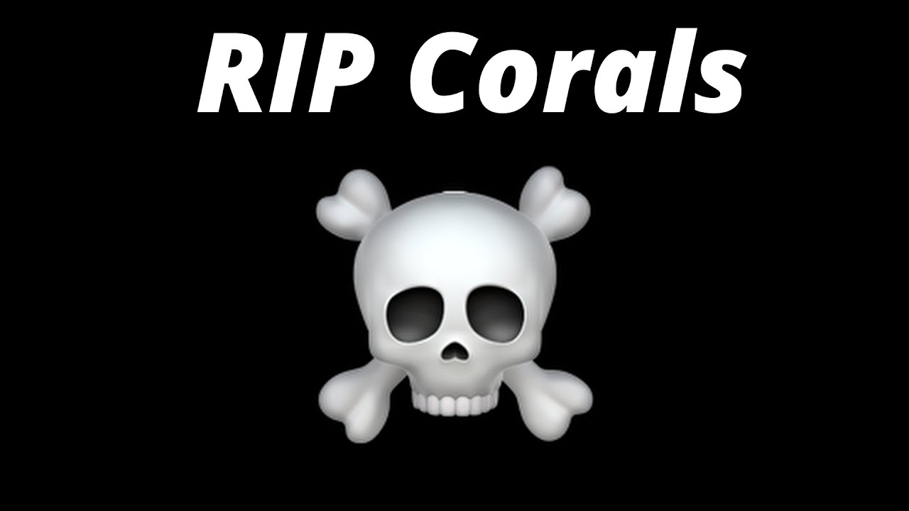 All my corals are dead!