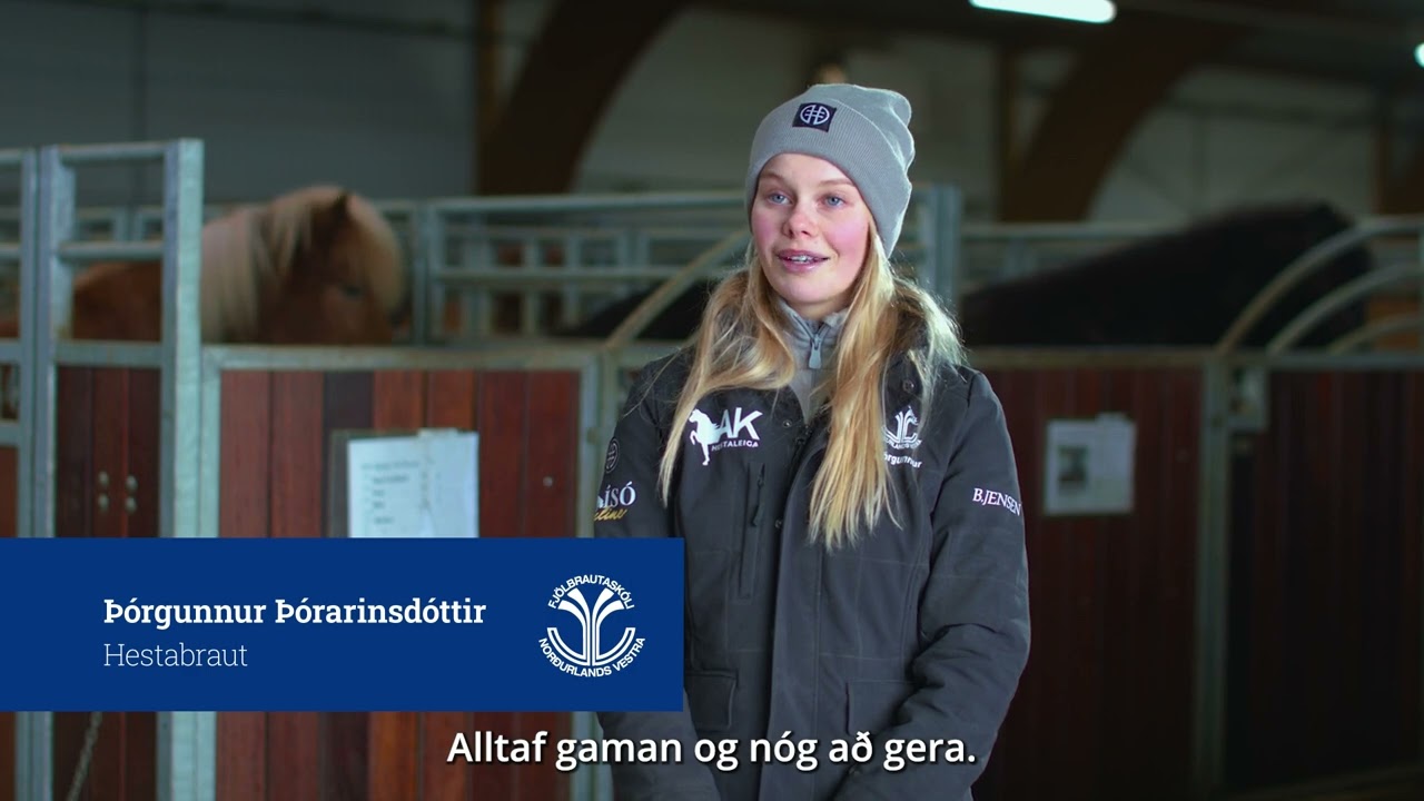 Hestabraut - FNV