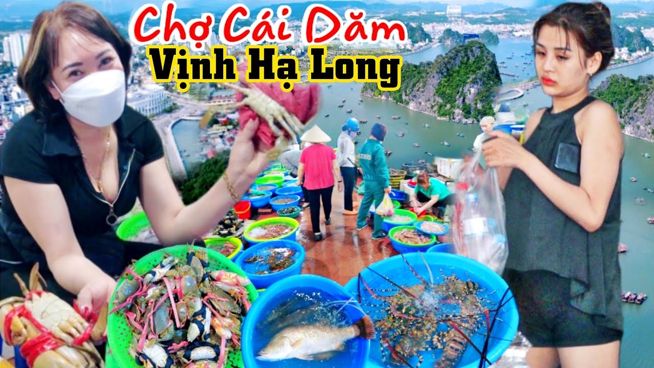 Thiên đường hải sản tươi sống nổi tiếng nhất Vịnh Hạ Long / Chợ Cái Dăm Quảng Ninh