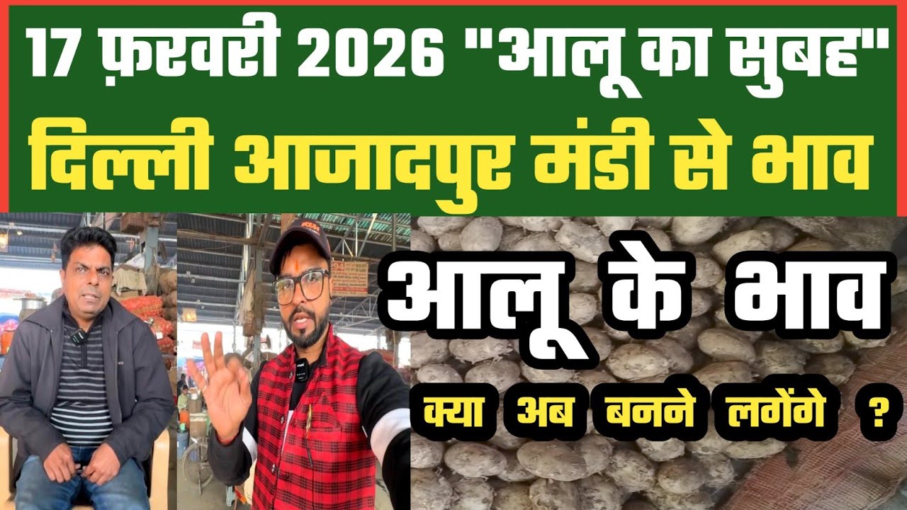 आलू अच्छे भाव अब क्या ऐसे देगा ? 🤔 Azadpur Delhi Mandi Today में 17-02-2026 के Potato Price DMT TV