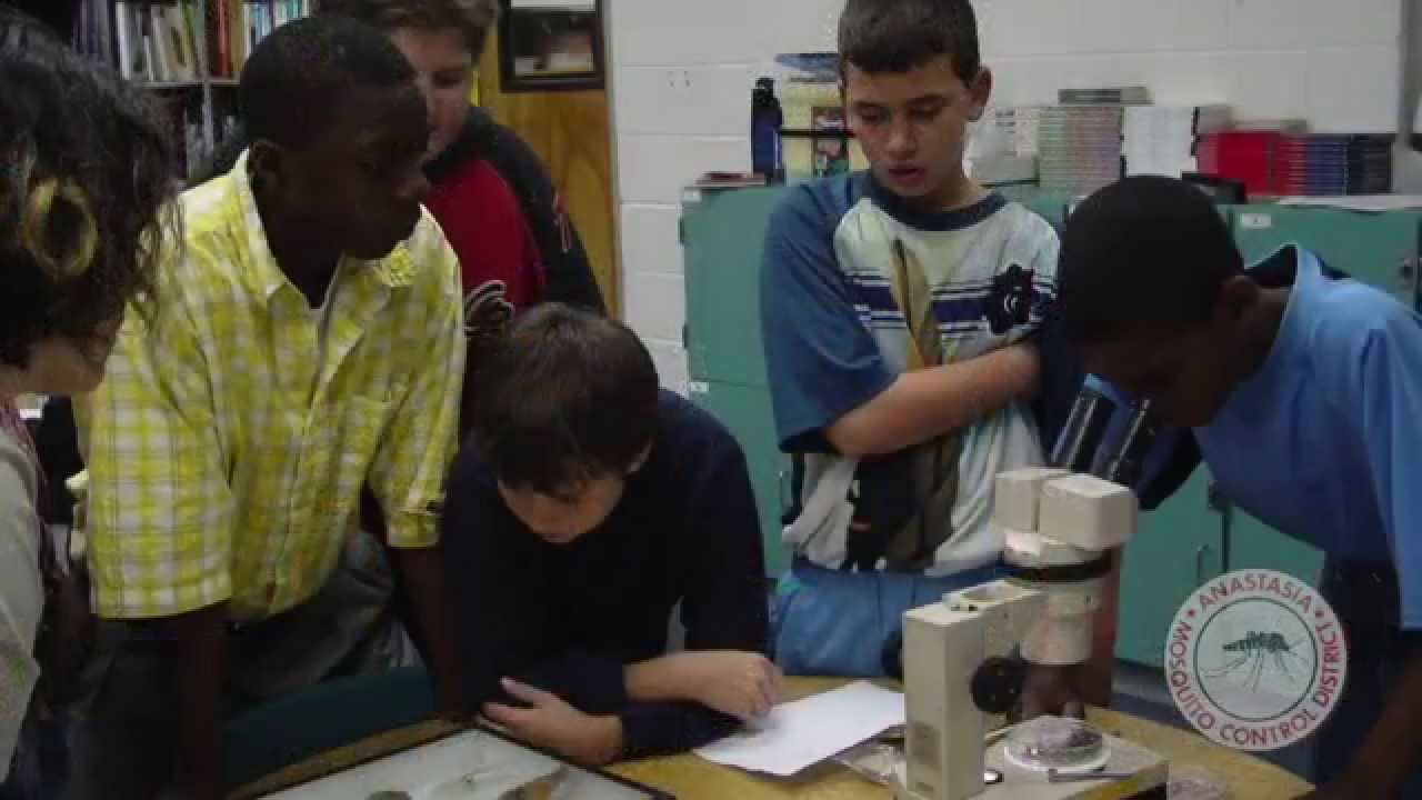 AMCD Education Video