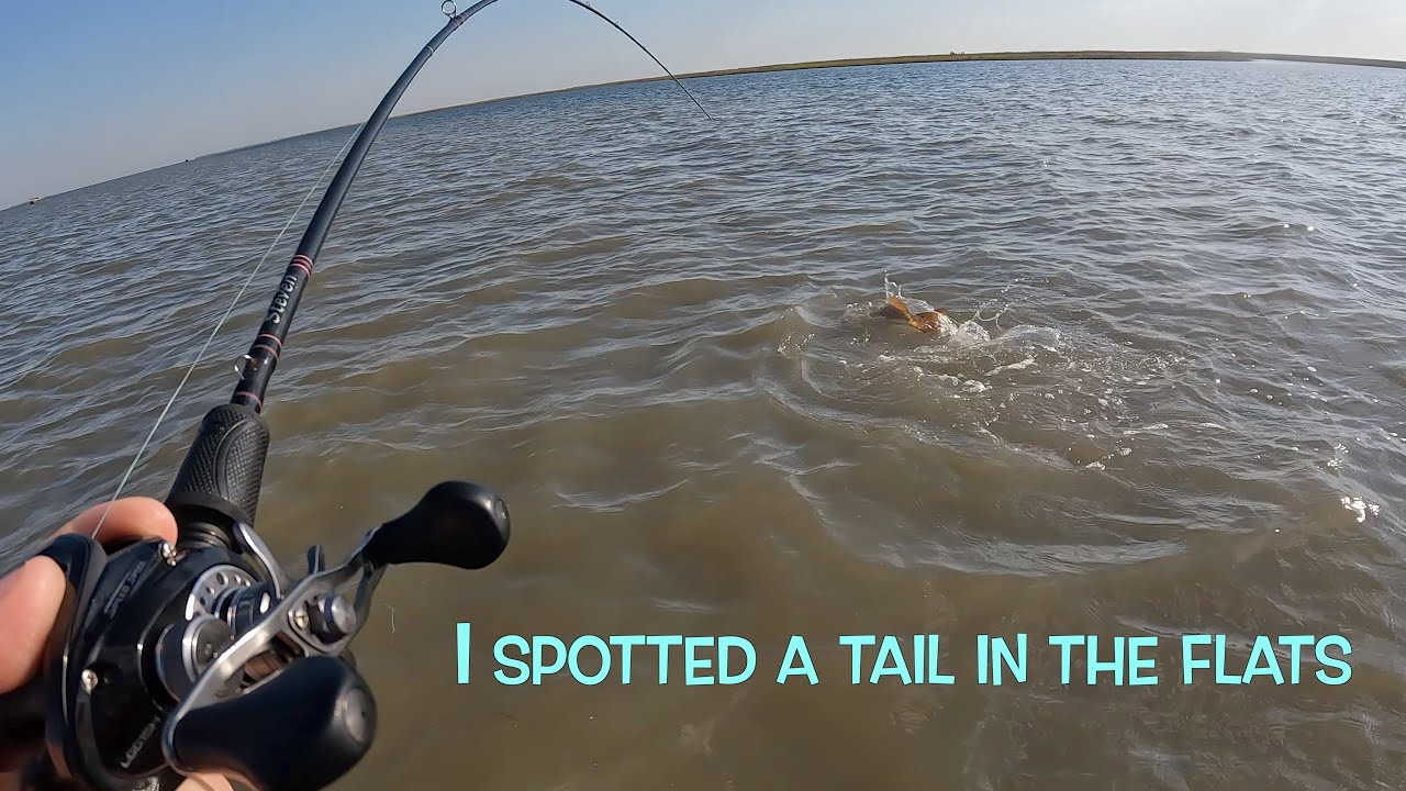 Redfish Tailing In The Flats
