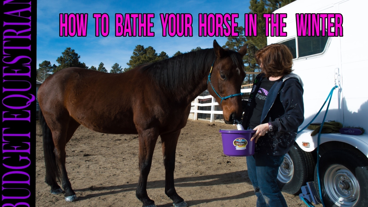 How To Give A Horse A Bath In The Winter