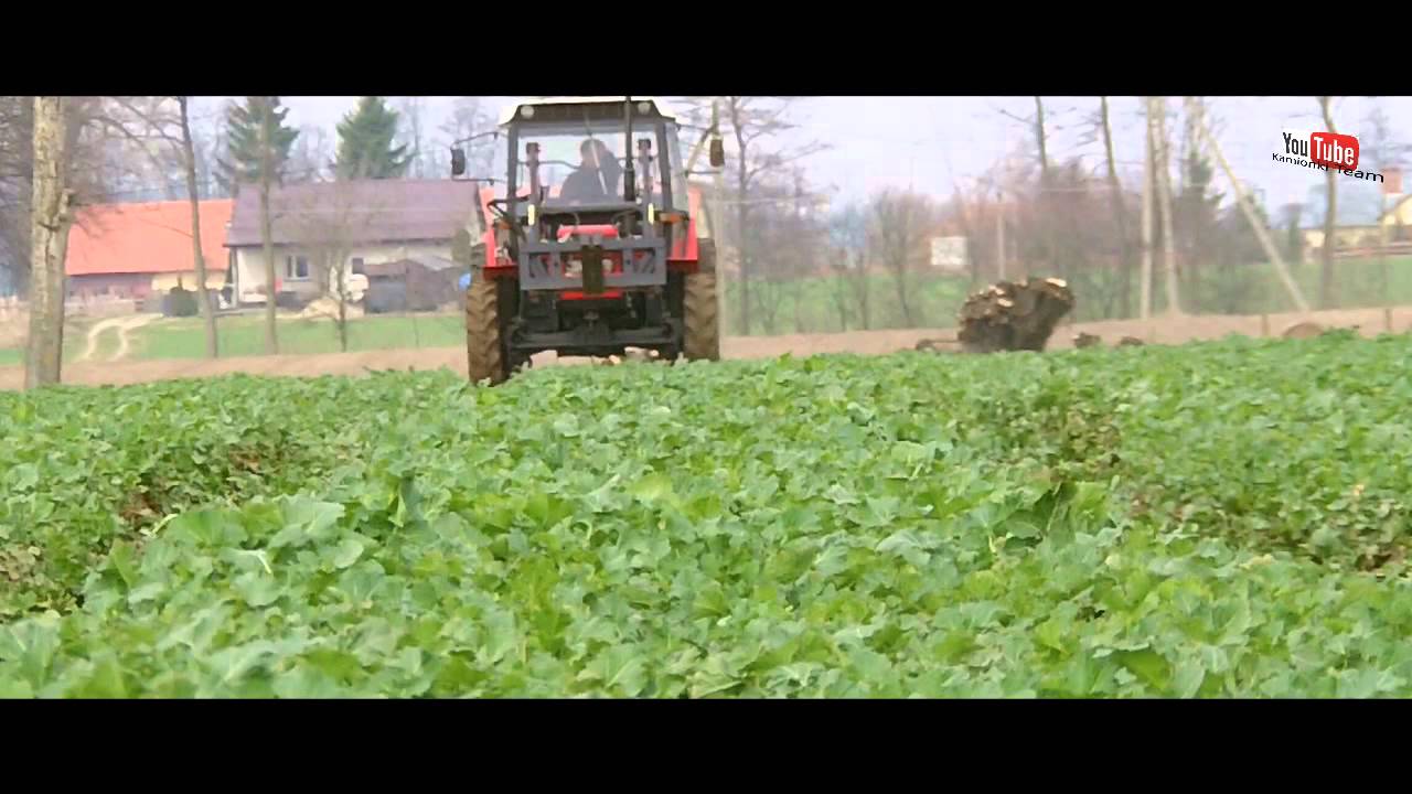 ★ Wiosenne nawozy 2015 ☆ Zetor 5320 Zetor 7245 ★ KamionkiTeam ㋡