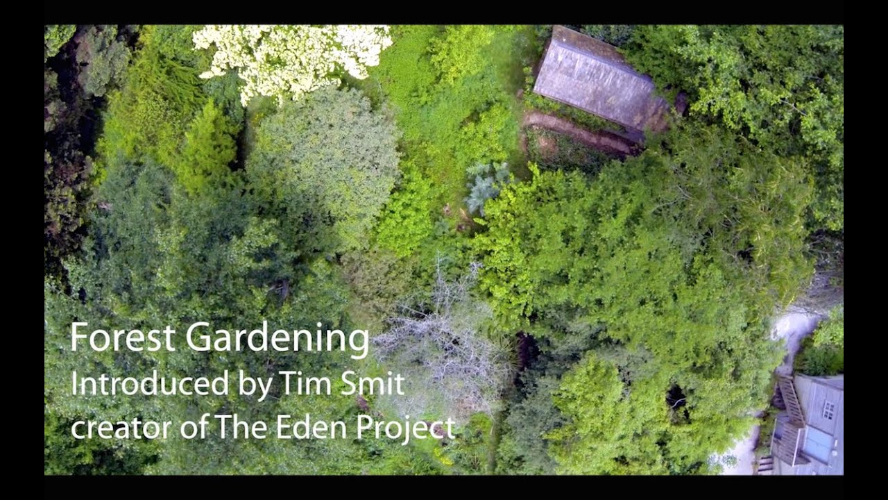 Forest Gardening | Living With The Land | Part 1