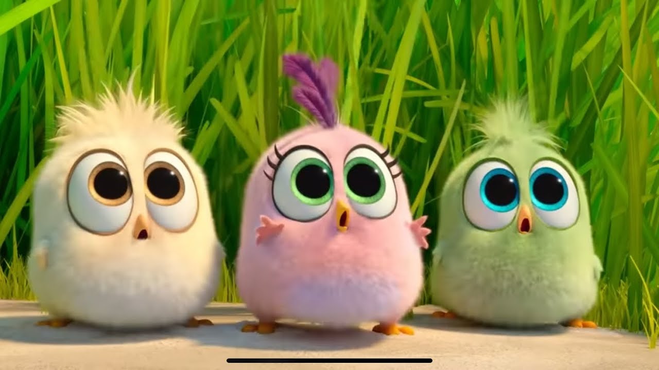 Nachas - AH YAY / The Angry Birds ( Official Music Video)