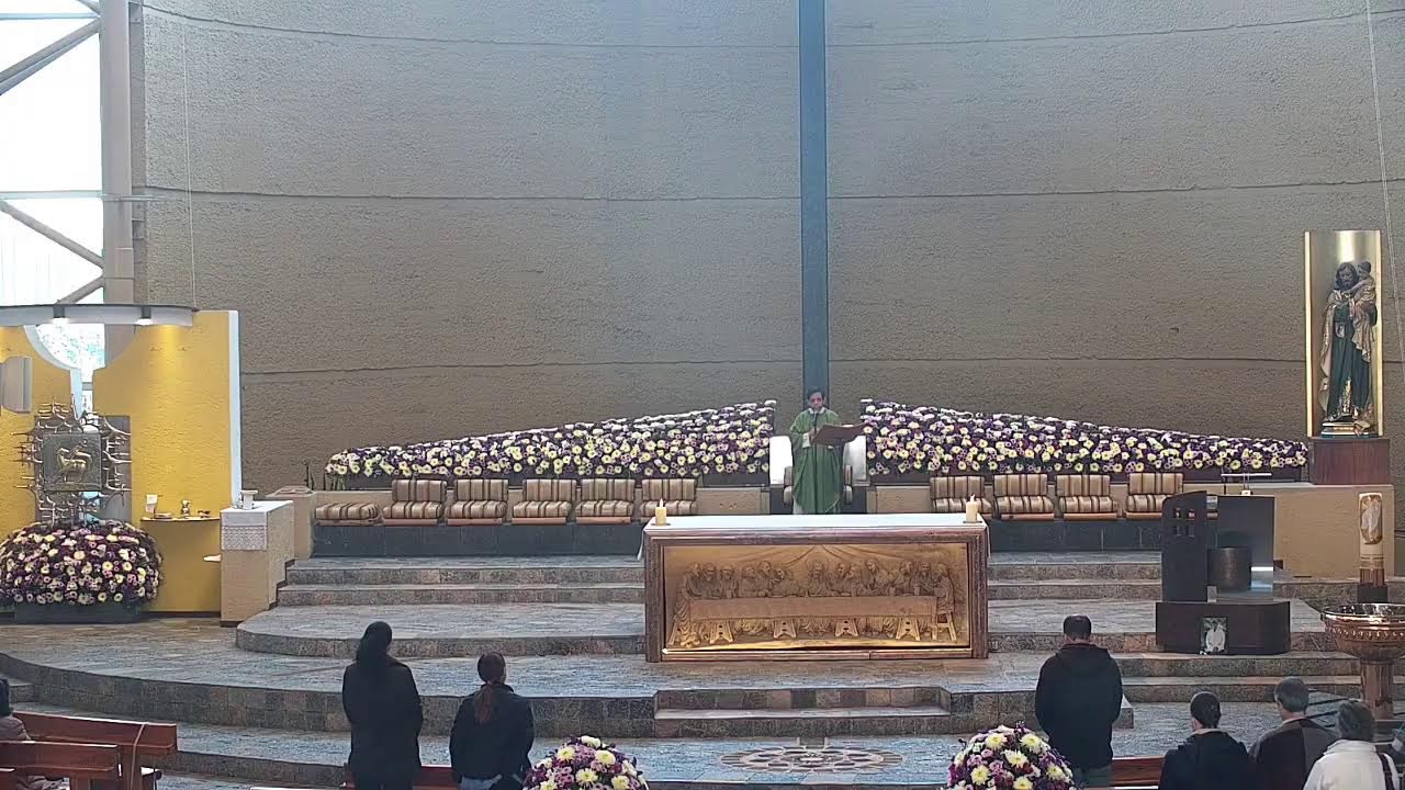 MISA LUNES VI DEL TIEMPO ORDINARIO. 8:00 HRS.