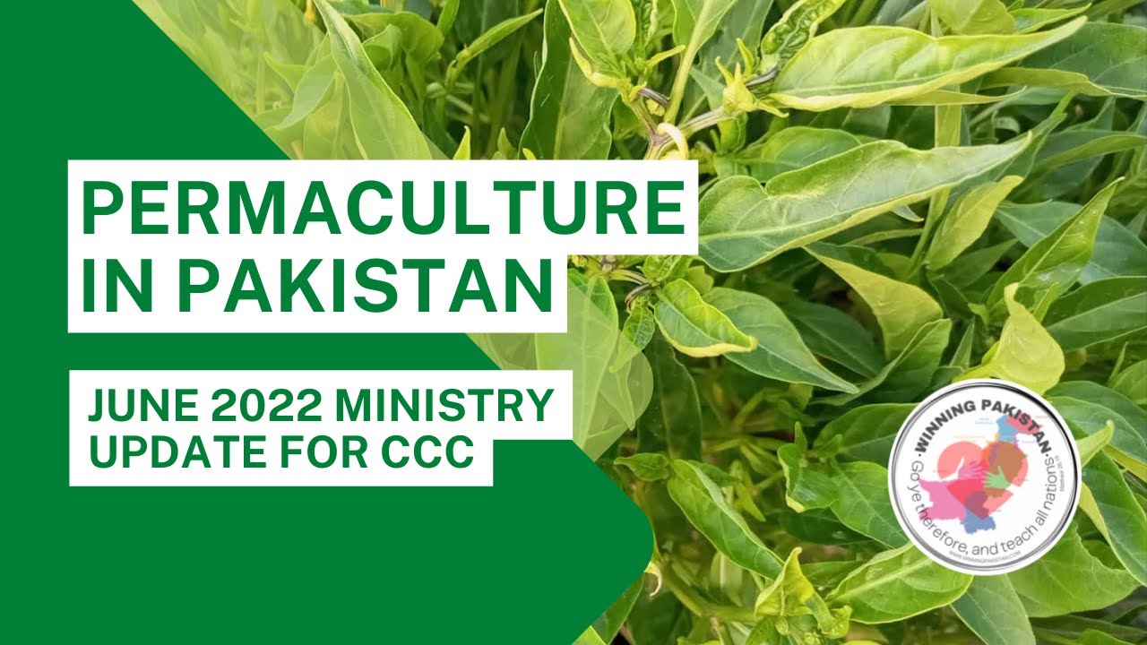 Permaculture in Pakistan June 2022 Ministry Update 2