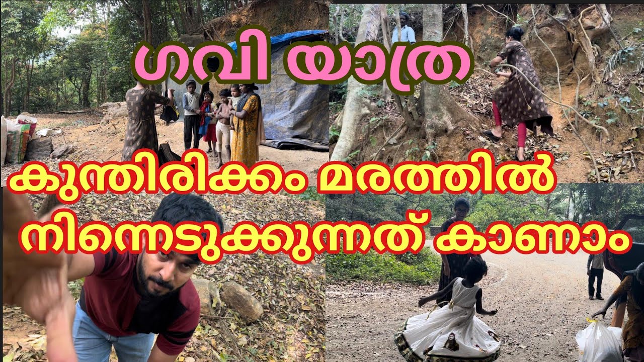 ഇത്തിരി സ്നേഹത്തോടെ ചില ഗവി കാഴ്ചകൾ❤️