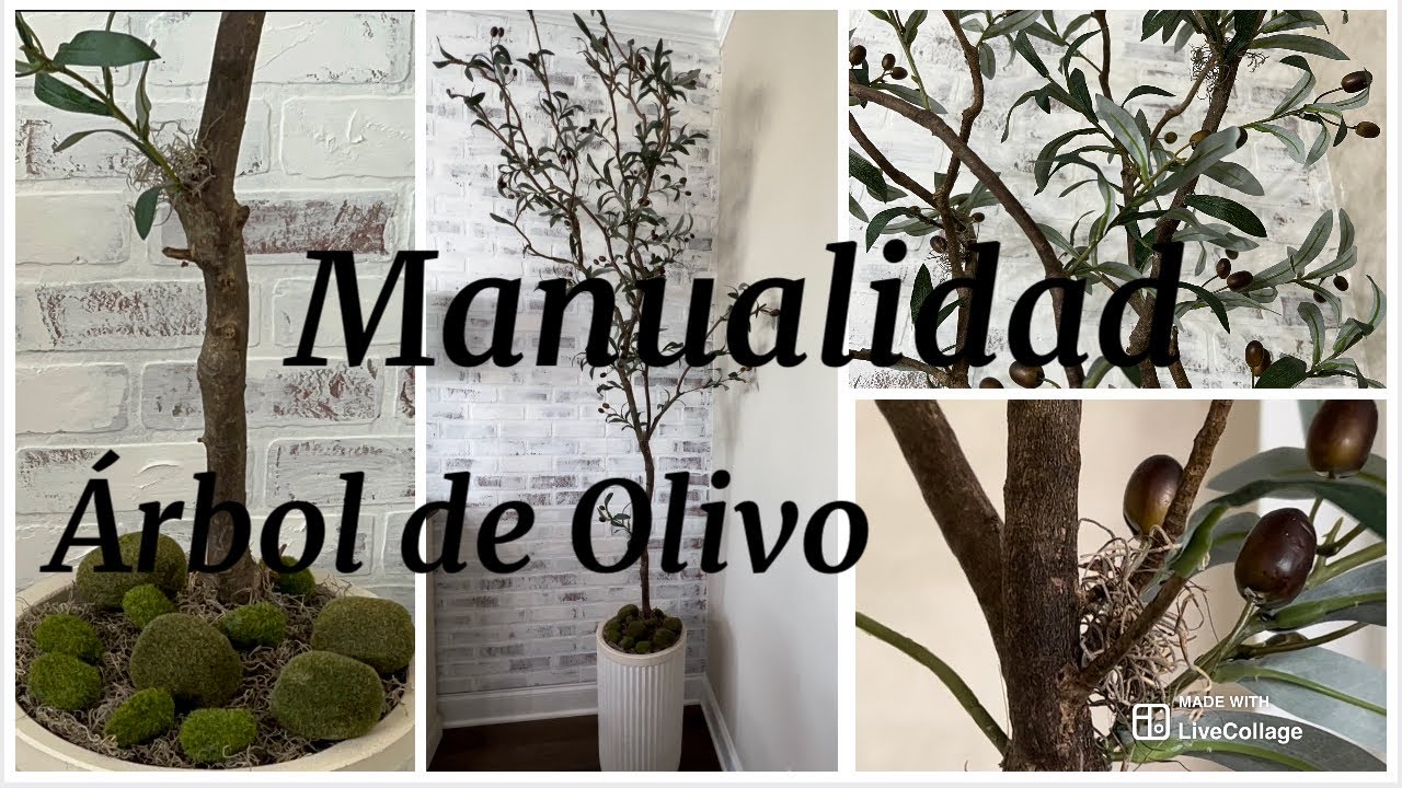 COMO HACER UN ÁRBOL DE OLIVO. MIDE 7 PIES Y MEDIO Y POR SOLO $35.94 dls